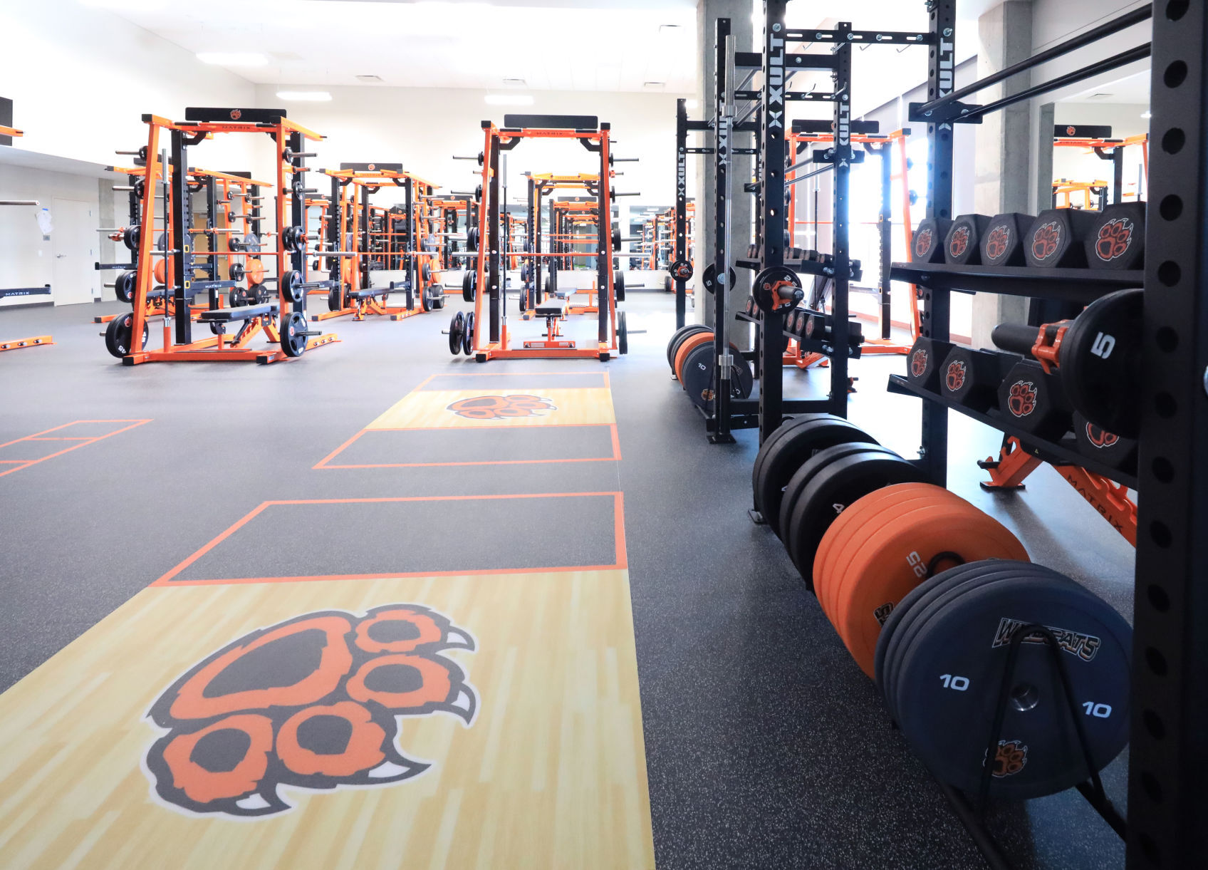 Strength and conditioning